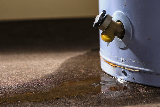  Plano, IL Water damage restoration Pros
