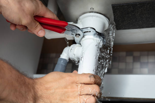 Best Water damage restoration insurance claims  in Plano, IL