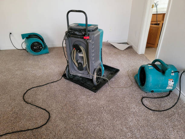 Best Commercial water damage restoration  in Plano, IL