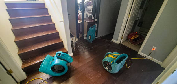 Best Residential water damage restoration  in Plano, IL