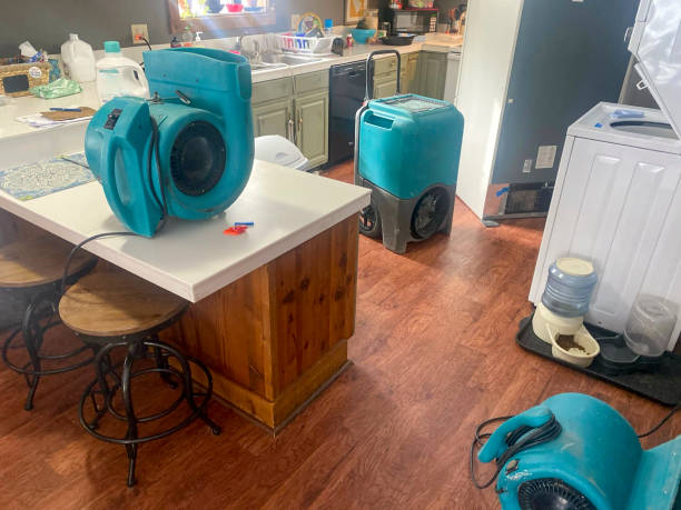 Reliable IL Water damage restoration Solutions