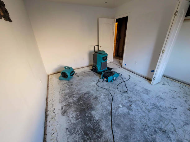 Best Flood damage cleanup  in Plano, IL