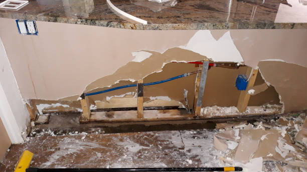 Best Local water damage restoration  in Plano, IL