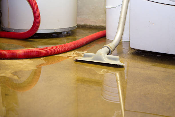 Best Professional water damage repair  in Plano, IL