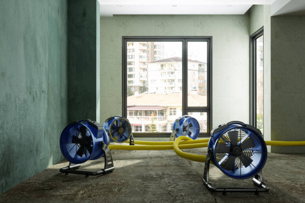 Best Water damage restoration near me  in Plano, IL