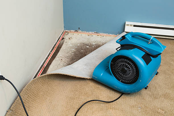 Best 24-hour water damage restoration  in Plano, IL